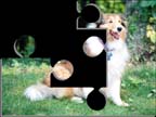 Vol 5 Puzzle.jpg
